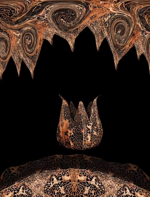 Creation of Withered capsule chamber: Step 5